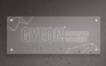 Baner LED Type 1 Gyeon Certified Detailer