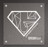 Baner LED Type 4 Super G